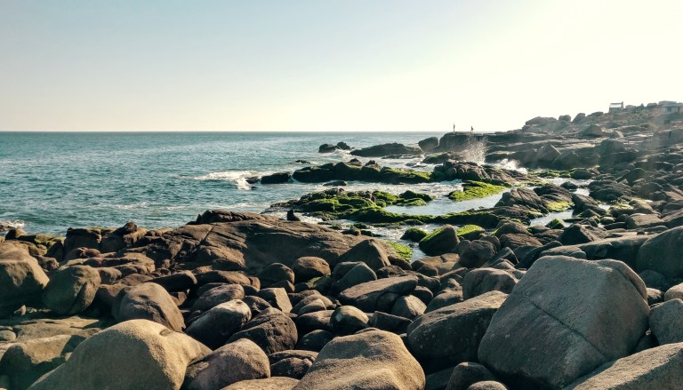 IMG_20161105_172125 (1).jpg